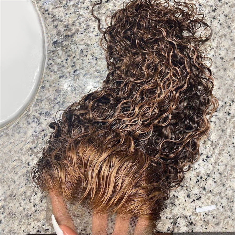 Real Hair Highlighting Human hair Lace Frontal Wig